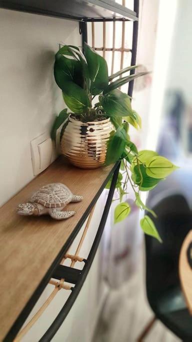 Apartman Lammi Split Exteriör bild